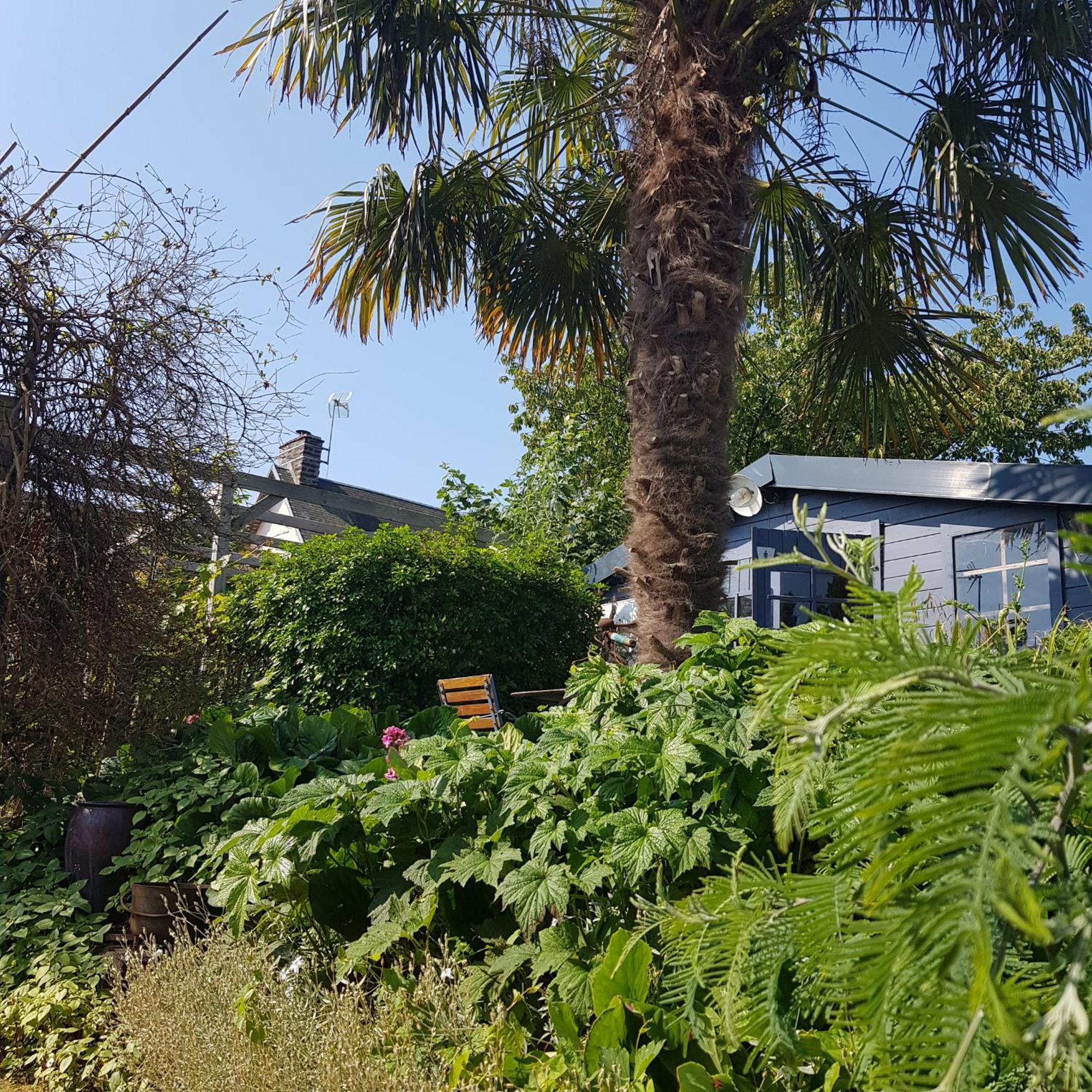 לינה וארוחת בוקר Coudeville Le Jardin מראה חיצוני תמונה